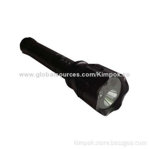 Flashlight 720P Water-resistant Torch Light Spy Camera